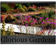 Glorious Gardens: Design - Consultation - Installation