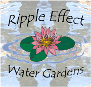 Ripple Effect Water Gardens