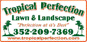 Tropical Perfection Lawn and Landscape