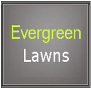Evergreen Lawns